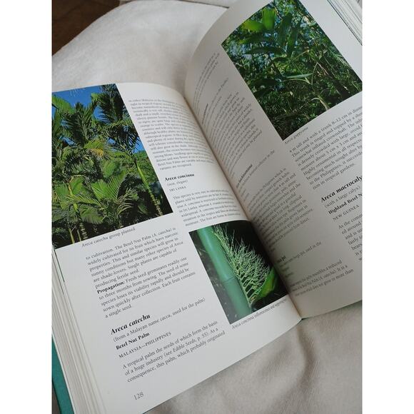 Palms Throughout the World David L. Jones 1995 Hardcover Dust Jacket Like New - Picture 10 of 16